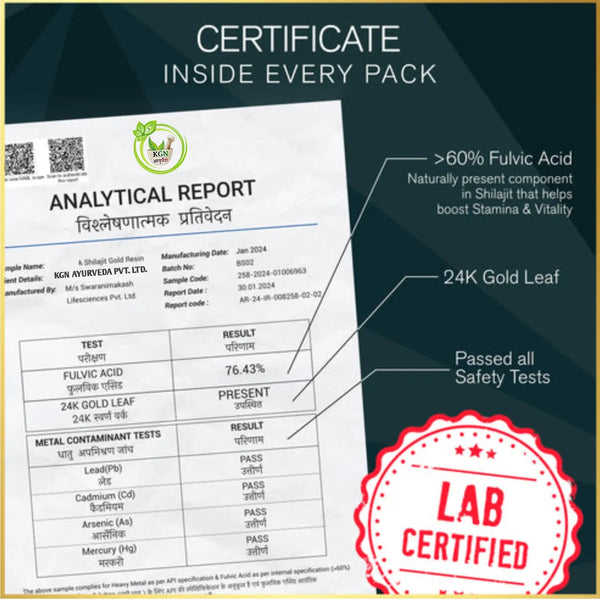 Pure Shilajit Resin | Natural Energy & Vitality Booster | 20 Gm