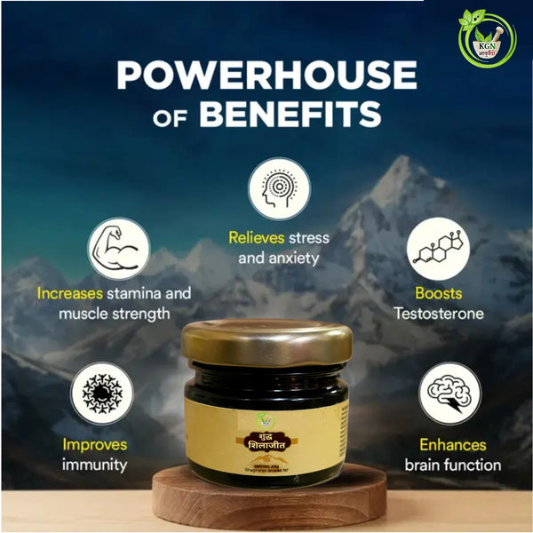 Pure Shilajit Resin | Natural Energy & Vitality Booster | 20 Gm